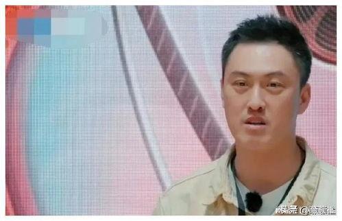 娱乐圈吃瓜爆料道歉